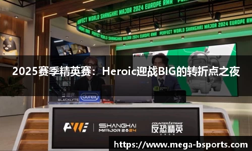 2025赛季精英赛：Heroic迎战BIG的转折点之夜